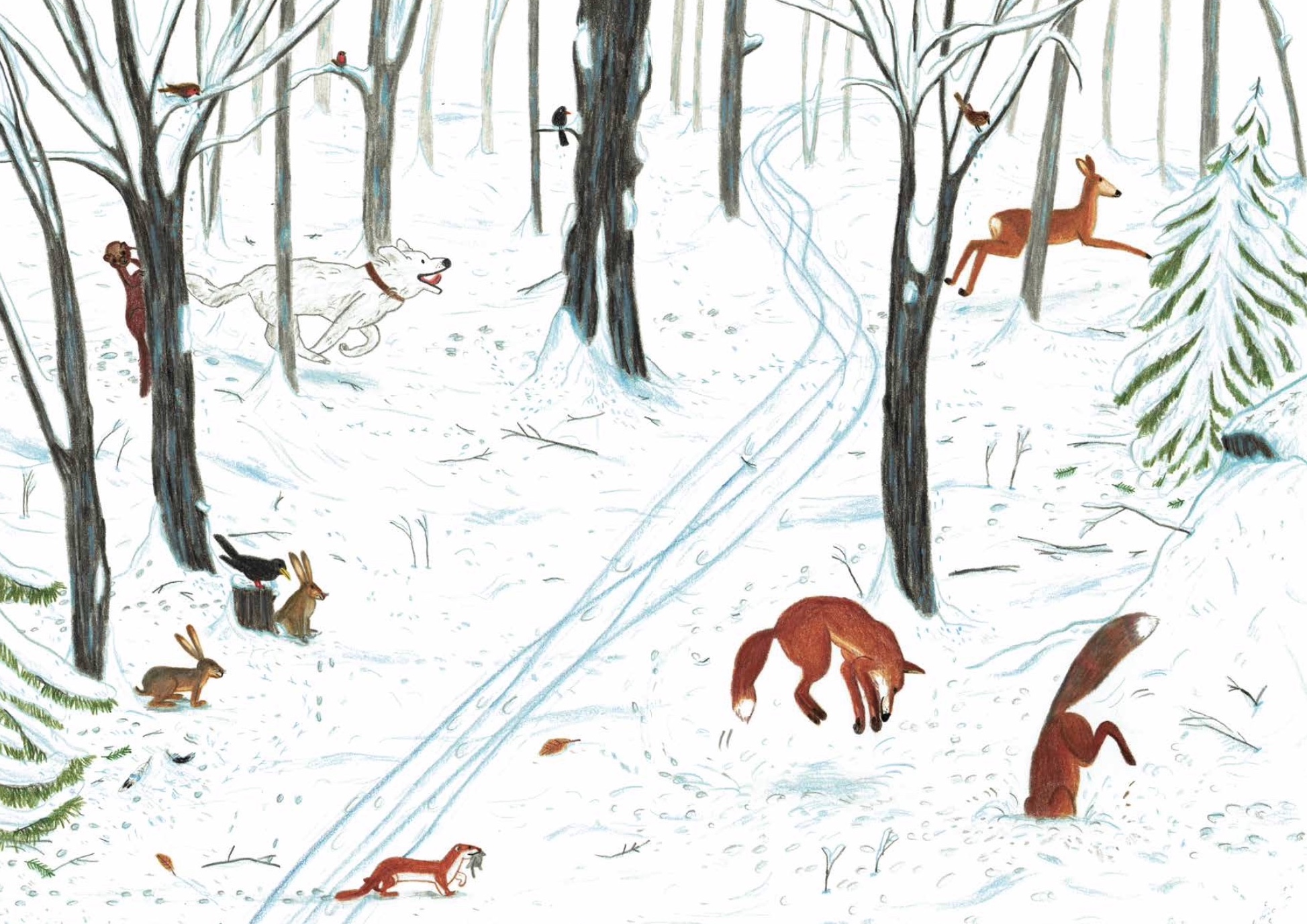 Dans la montagne © Irène Penazzi