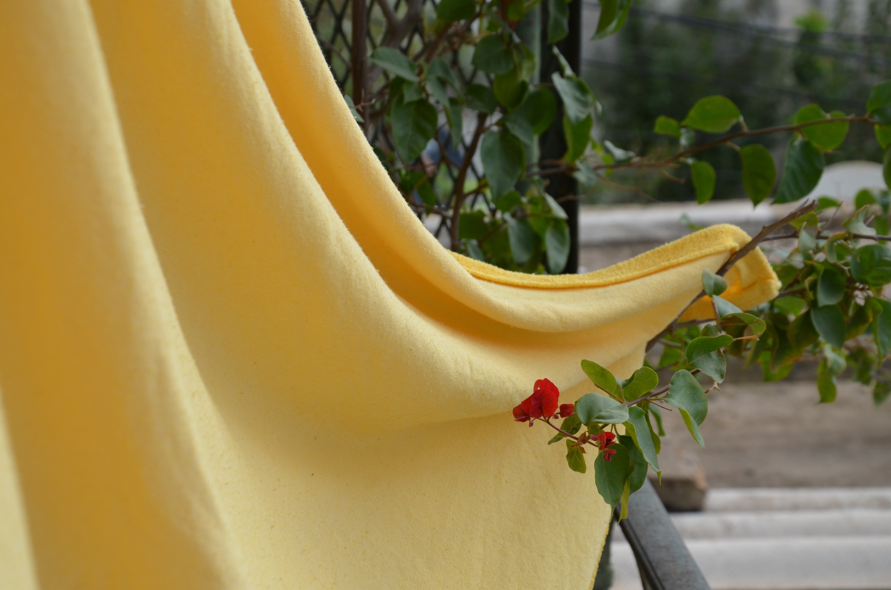 Alger CouvertureJaune