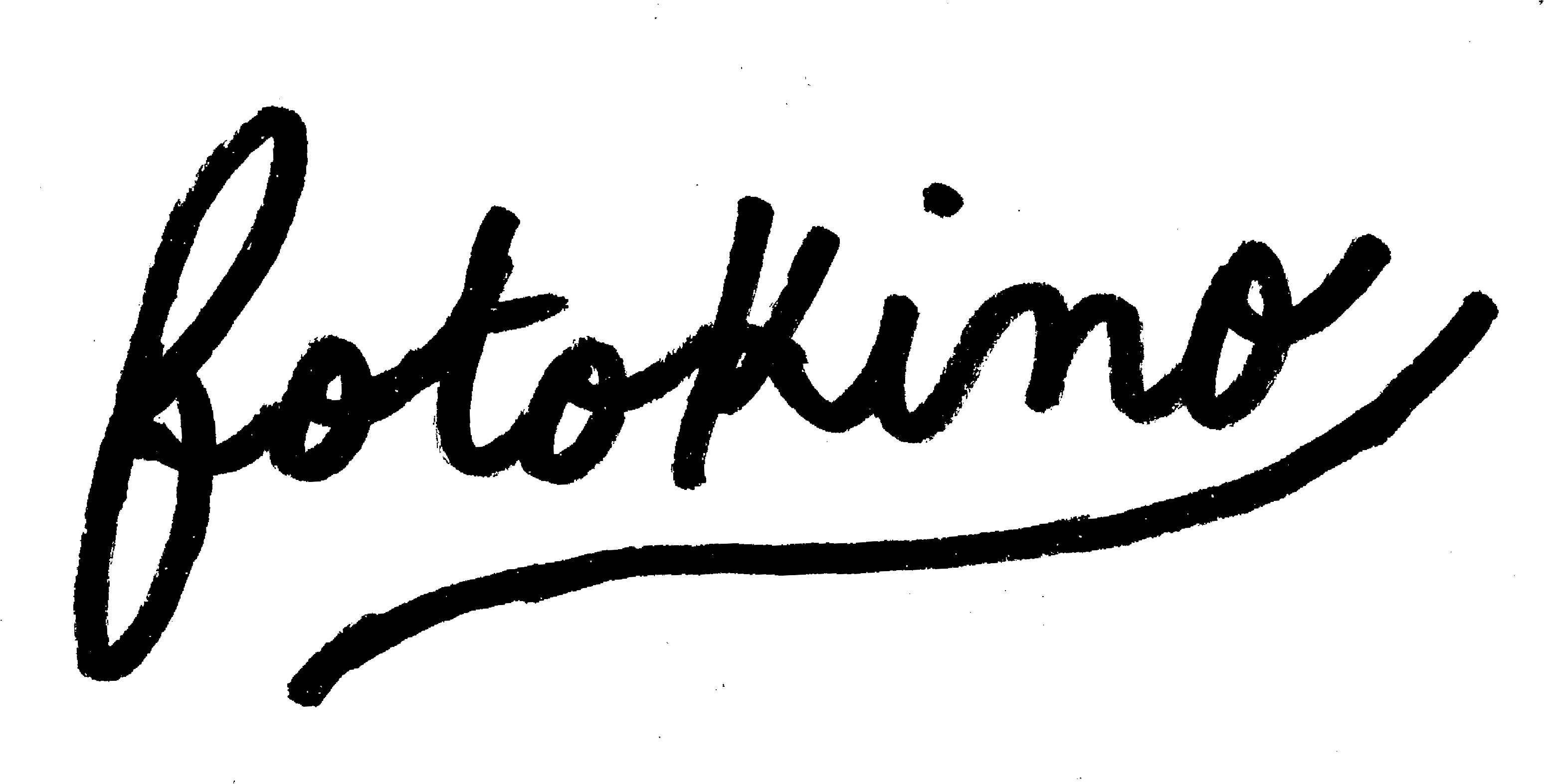 logo fotokino